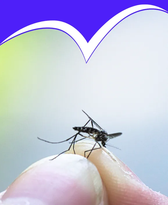 Vektörle mücadele Halk Sağlığı Hizmetleri Sivrisinek, karasinek, böcek